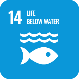 life below water