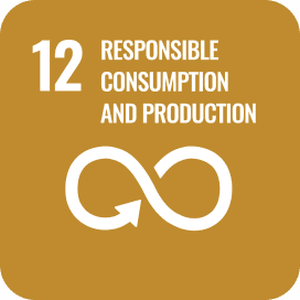 responsible consumption